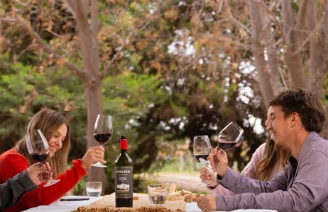 Mendoza Tour Vinhos, Vinhedos e Piquenique: Descubra o encanto das vinícolas de Mendoza