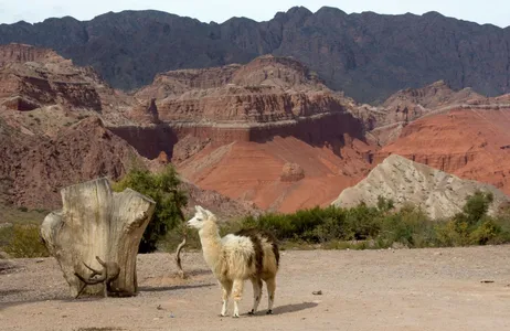 Salta Tour Tour pela Vinícola e Paisagem do Vale Calchaqui em Cafayate