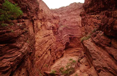 Salta Tour Combo: Passeio Cafayate + Humahuaca + Traslado de chegada e partida + Passeio a pé gratuito