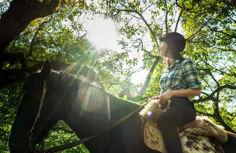 Salta Tour Passeios a cavalo pelas Yungas, na Quebrada de San Lorenzo com transferências