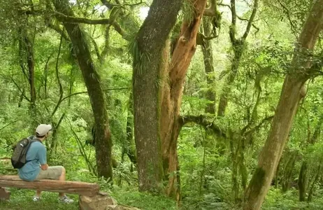 Salta Tour Passeio em San Lorenzo, Salta com transferências