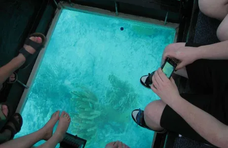 Fort Lauderdale Tour Um Dia em Key West com Passeio de Barco com Fundo de Vidro