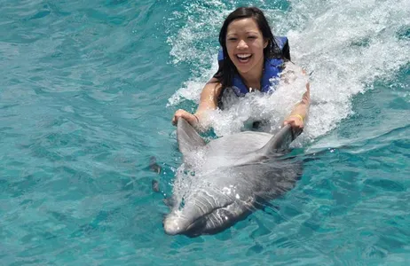 Riviera Maya Tour Nado com Golfinhos Nado Aventura