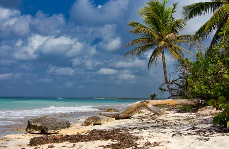 Punta Cana Tour Descubra Ilha Saona