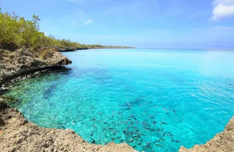 Isla de San Andrés Ticket Aquarium and Johnny Cay Tour