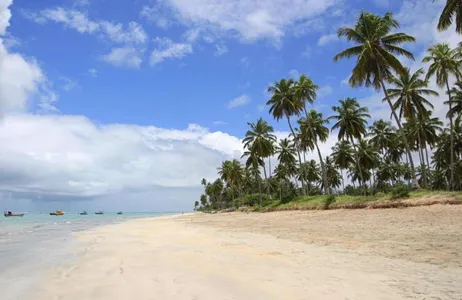 Maceió Tour Passeio na Magnífica Praia do Gunga