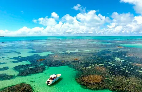 Maceió Tour Passeio de um dia para a Praia de Paripueira