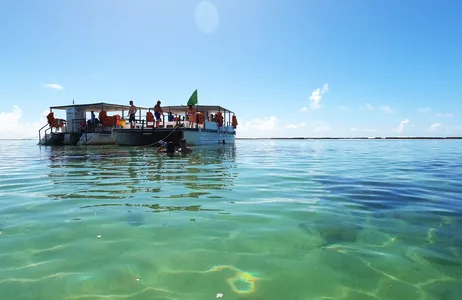 Maceió Tour Conheça a Famosa Praia de Maragogi e Recife Galés