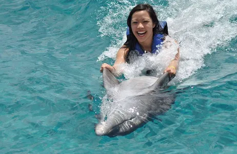 Riviera Maya Tour Swim with dolphins Royal Swim