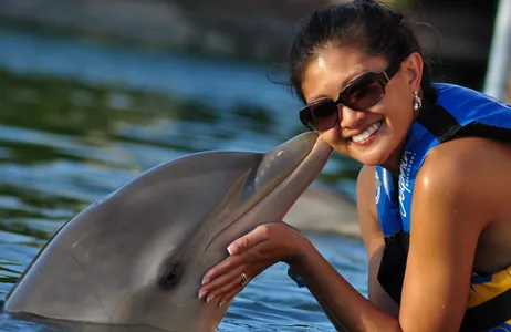 Riviera Maya Tour Dolphin Encounter in Puerto Aventuras