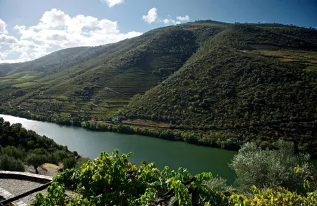 Porto Tour Passeio do Vinho pelo Vale do Douro