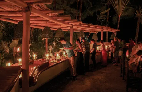 Puerto Vallarta Tour Rhythm of the Night - Live Show with Dinner