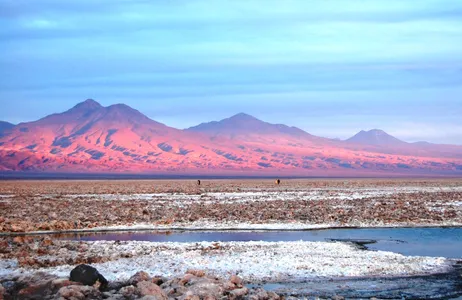 El Loa Tour San Pedro de Atacama: Salar e Lagoas Altiplânicas