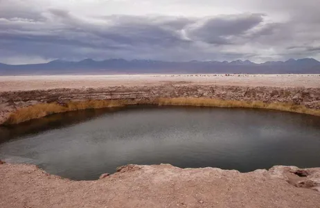 El Loa Tour Tour das Lagoas de Cejar e Tebinquiche com Ojos del Salar Atacama