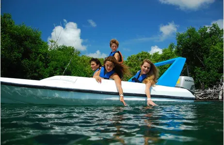 Cancún Tour Jungle Adventure Tour - The most exciting diving tour in Cancun