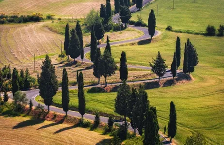 Florence Tour Chianti Classico, Montalcino, Montepulciano: the Essence of Tuscany