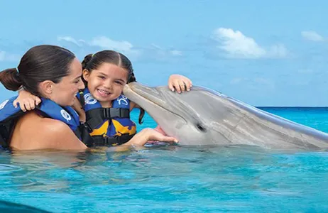 Punta Cana Tour Encontro e nado opcional com golfinhos no mar