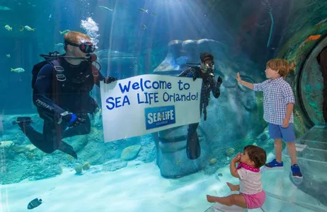 Orlando Tour SEALIFE Orlando - Standard Ticket
