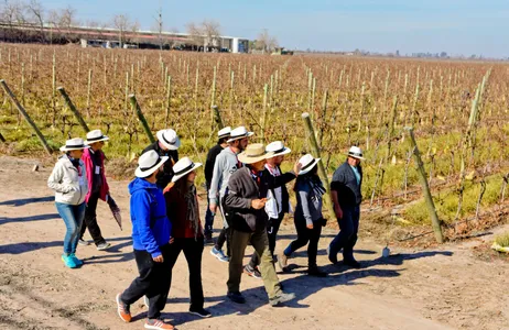 Capital Tour Rota do Vinho em San Juan: uma jornada de sabores por Vinhedos e Vinícolas