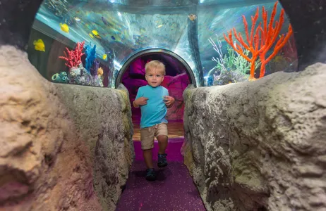 Orlando Tour Madame Tussauds and SEA LIFE Orlando Combo Ticket