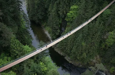 Vancouver Tour Vancouver Cidade + Parque da ponte suspensa de Capilano