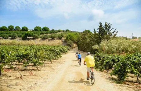 Barcelona Tour Recorrido privado en bicicleta eléctrica desde la costa de Barcelona hasta los viñedos, cata de vinos y almuerzo.