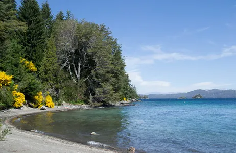 Lácar Ticket From San Martín to Villa La Angostura on the Seven Lakes Route