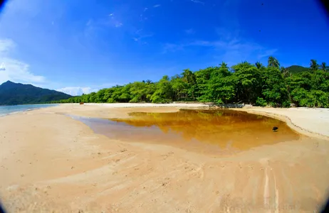 Ilha Grande Tour Transporte para Praia de Lopes Mendes