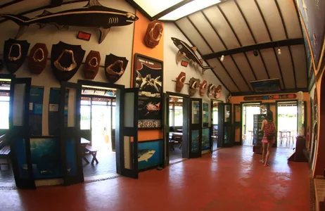 PE Tour Descoberta da Ilha em um dia - passeio de 4x4