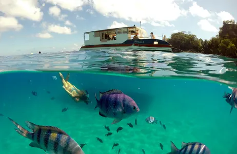 PE Tour Passeio de Barco em Fernando de Noronha e Baía do Sancho