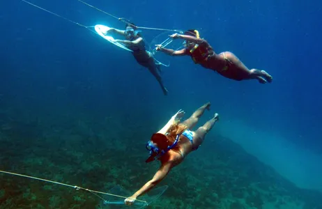 PE Tour Prancha Subaquática nas águas de Noronha