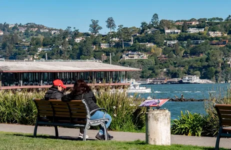 San Francisco Tour Excursión de medio día a Muir Woods y Sausalito
