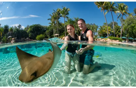 Orlando Ticket Discovery Cove Orlando Resort Plus 2 Parks Package
