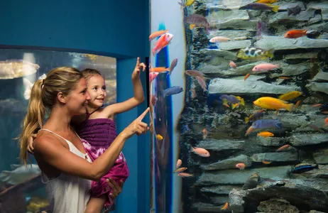 Cancún Tour Cancun All-Inclusive Attractions Pass - Go City
