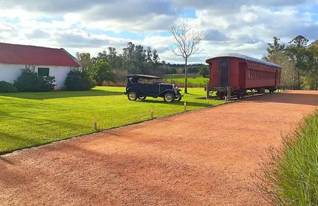 Montevideo Tour Tour to Bouza Winery