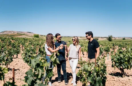 Madri Tour Wineries of Ribera del Duero and Segovia