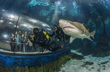 Barcelona Tour Recorrido en autobús turístico por la ciudad de Barcelona y acceso al acuario
