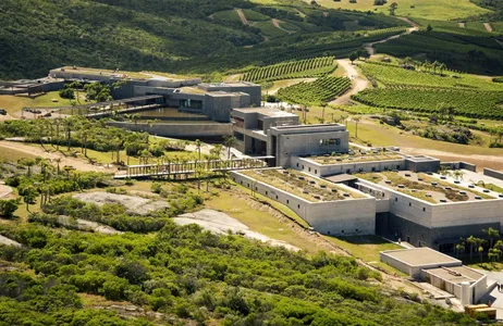 Punta del Este Tour GARZON WINERY TOUR
