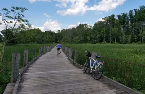 Washington Tour Aluguel de bicicleta e barco em Mount Vernon