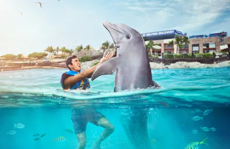 Cancún Tour Dolphin Encounter in Isla Mujeres