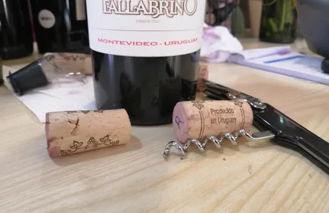 Montevideo Tour DESCOBRINDO DUAS VINÍCOLAS - FAMILIA DARDANELLI E FALLABRINO