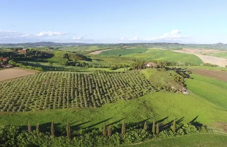 Florence Tour Experiência única em Chianti - vinho e degustação pela manhã