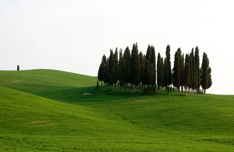 Florence Tour A essência da Toscana: Chianti Classico, Montalcino, Montepulciano, excursão de Florença com transfer