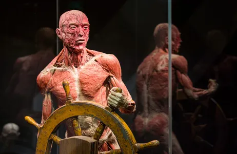 Amsterdam Ticket Ingresso a Body Worlds Amsterdã