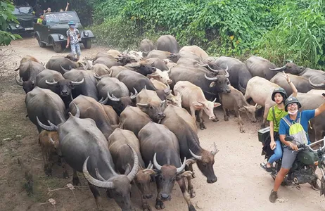 Hanoi Tour Full Day Hanoi City and Countryside Tour by Vintage Motorcycle and Jeep