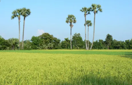 Krong Siem Reap Tour NhumBai A experiência da aldeia