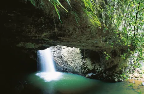 Gold Coast Tour Excursão noturna aos vermes luminosos da Ponte Natural