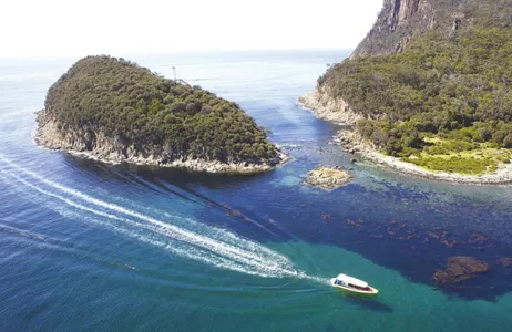 Hobart Tour Bruny Island Cruises - Cruzeiro de 3 horas na natureza selvagem