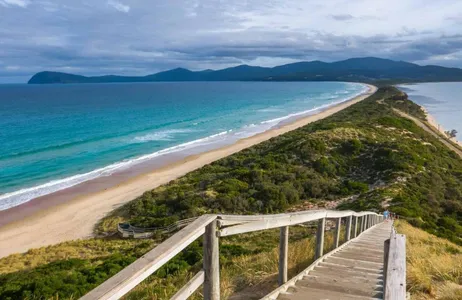 Hobart Tour Viajante da Ilha Bruny