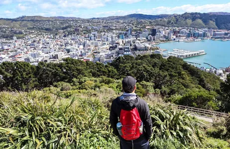 Wellington Ticket Excursão de meio dia a Wellington